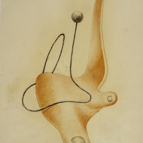 image for: Leandre Cristòfol - Morfologia 1 - 1932