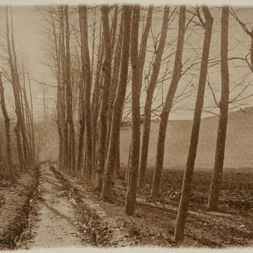 image for: Miquel Renom - Sense títol - No datat