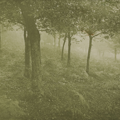 image for: Miquel Renom - Sense títol - No datat