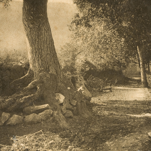 image for: Miquel Renom - Sense títol - No datat