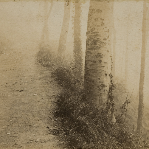 image for: Miquel Renom - Sense títol - No datat