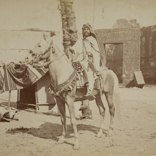 image for: Alfredo Noack - Beduino a cavallo (Costumi Arabi) - Cap a 1880