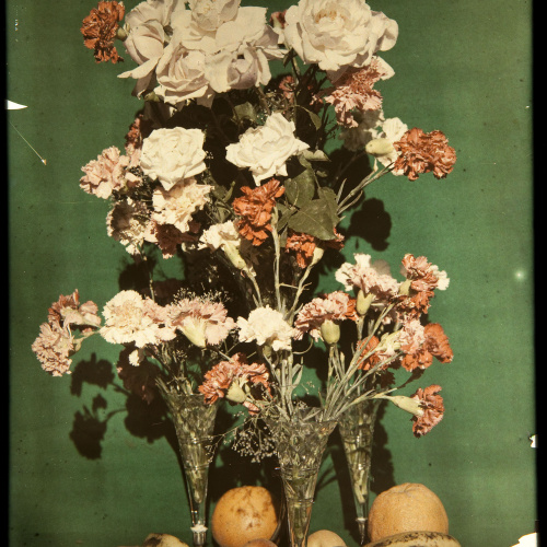 image for: Francesc Carrera Bou - Natura morta amb flors i fruita - Cap a 1922-1926