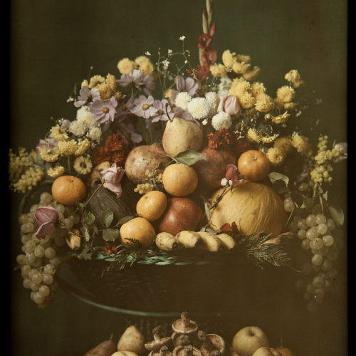 image for: Francesc Carrera Bou - Natura morta amb fruita, flors i bolets - Cap a 1922-1926