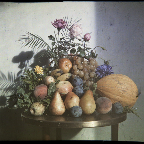 image for: Francesc Carrera Bou - Natura morta amb fruita i flors - Cap a 1922-1926