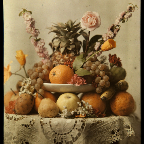 image for: Francesc Carrera Bou - Natura morta amb fruita i flors - Cap a 1922-1926