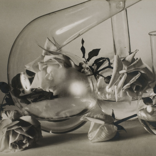 image for: Ramon Batlles - Fotografia publicitària per a Myrurgia - Cap a 1930
