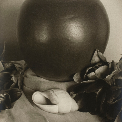 image for: Otho Lloyd - [Natura morta] - Cap a 1945