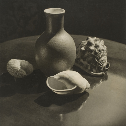 image for: Otho Lloyd - [Natura morta] - Cap a 1944