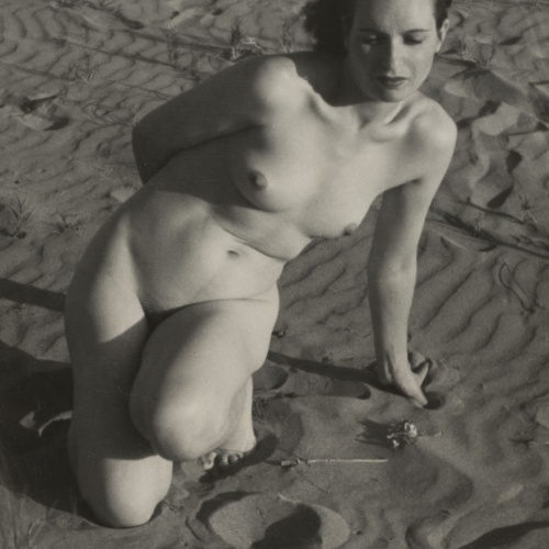 image for: Otho Lloyd - Sense títol - No datat