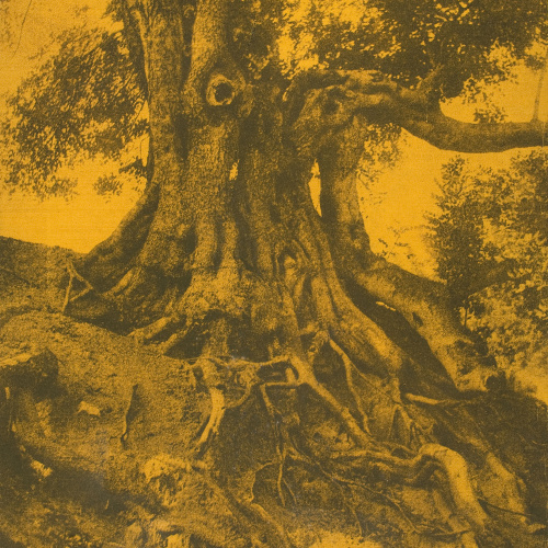 image for: Joaquim Pla Janini - Algarrobo - No datat