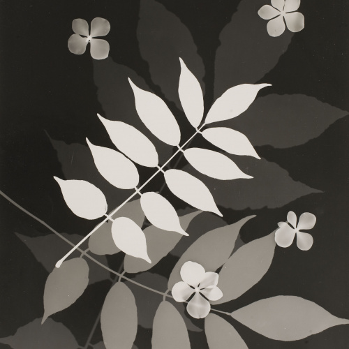 image for: Emili Godes - Sense títol - Cap a 1930