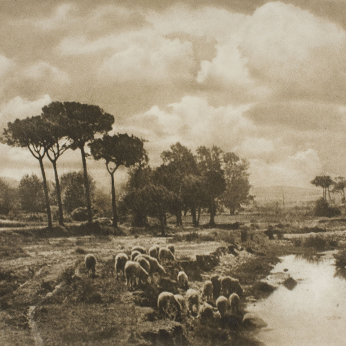 image for: Josep Maria Casals i Ariet - Paisatge amb riu i ovelles - No datat