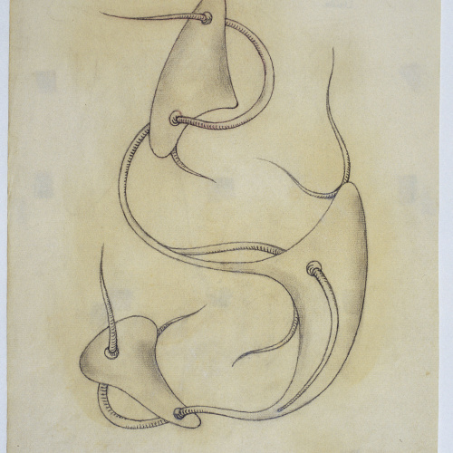 image for: Leandre Cristòfol - Morfologia 8 - 1934