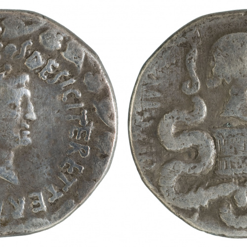 image for: Marc Antoni, triumvir de la República Romana - Cistòfor (tetradracma) - 39 aC