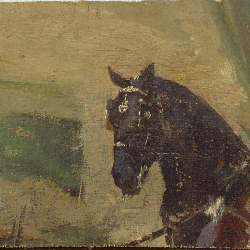 image for: Marià Fortuny - Estudi de cavall - 1863