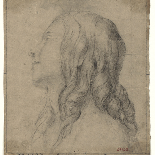 image for: Antoni Viladomat - Cap de jove amb tirabuixons - Cap a 1720-1755
