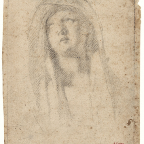 image for: Antoni Viladomat - Estudi per a la «Pietat» del retaule de la capella dels Dolors de la basílica de Santa Maria de Mataró - Cap a 1727-1729