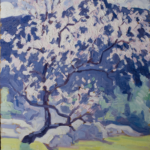 image for: Guillem Bergnes - Ametller florit - Anterior a 1945