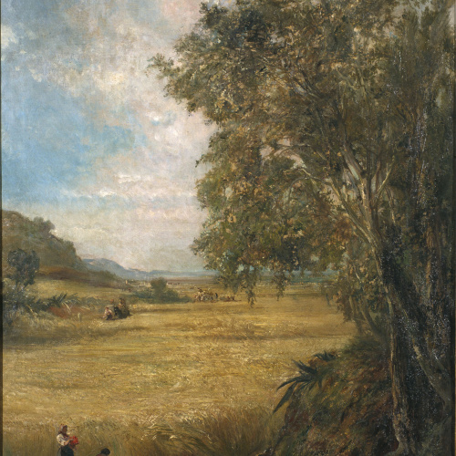 image for: Ramon Martí i Alsina - Camp de blat - Cap a 1875-1885