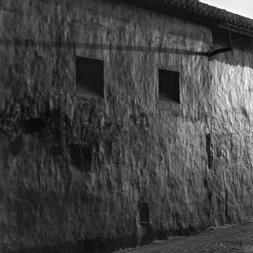 image for: Humberto Rivas - L&#039;Albufera - 1985