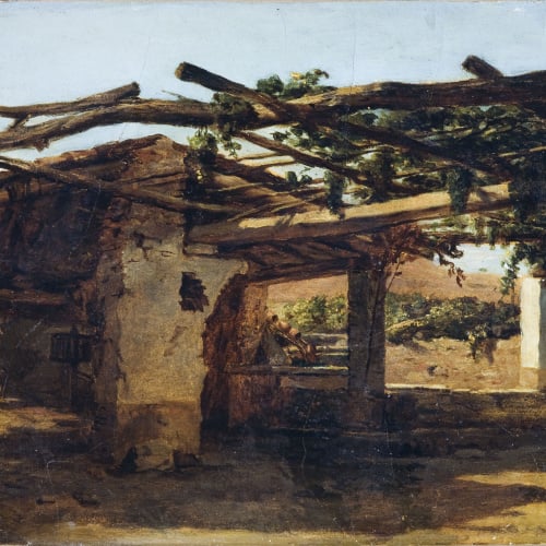 image for: Francesc Jubany - Pèrgola amb emparrat - Cap a 1851-1852