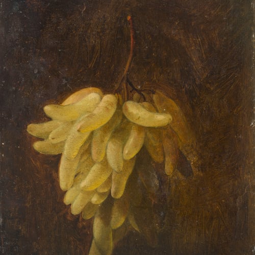 image for: Francesc Jubany - Natura morta - Cap a 1840-1852