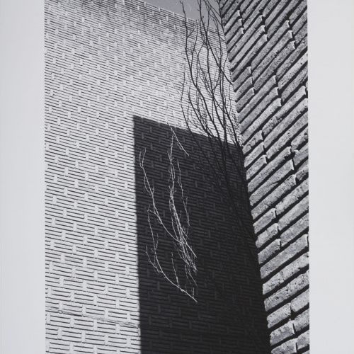 image for: Mariano Zuzunaga - Barcelona - 1983