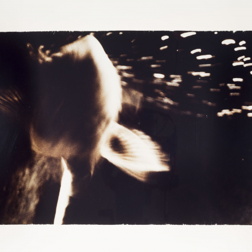 image for: Manel Esclusa - AQVI (Aquariana) - 1986