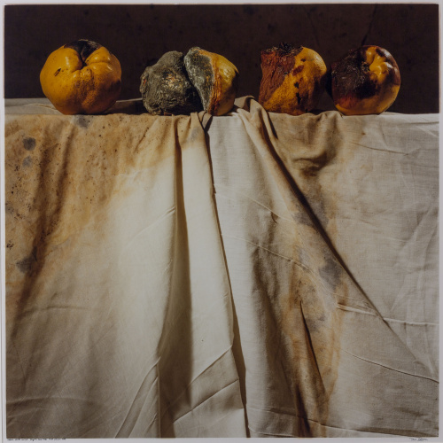 image for: Toni Catany - Natura morta núm. 148 - 1988