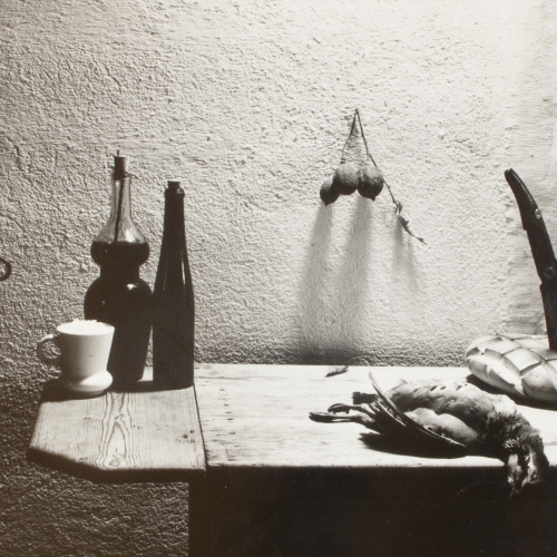 image for: Oriol Maspons - Fotografia per al llibre «La caza de la perdiz roja», de Miguel Delibes - 1962