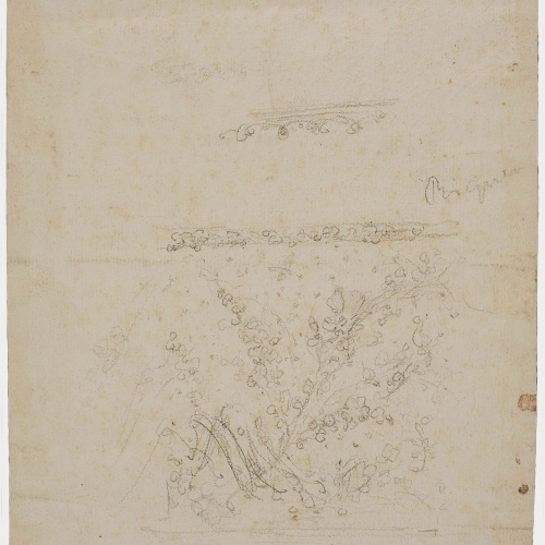 image for: Francesc Tramulles - D&#039;Herodes a Pilat (anvers) / Decoració vegetal (revers) - Cap a 1760 [1]