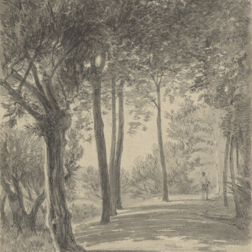 image for: Lluís Rigalt - Sarrià - Setembre de 1874