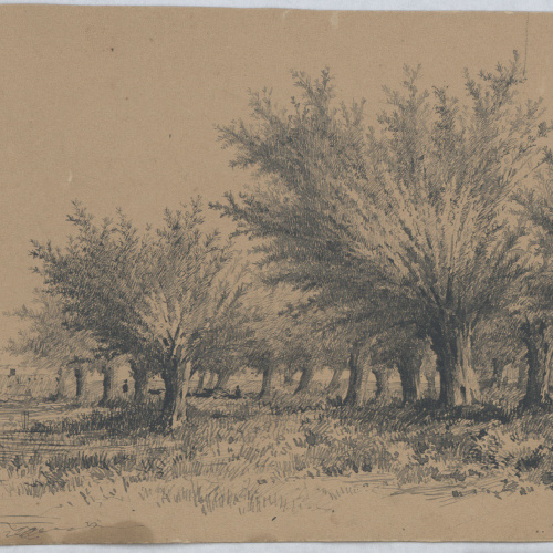 image for: Francesc Guasch - Paisatge - 1883