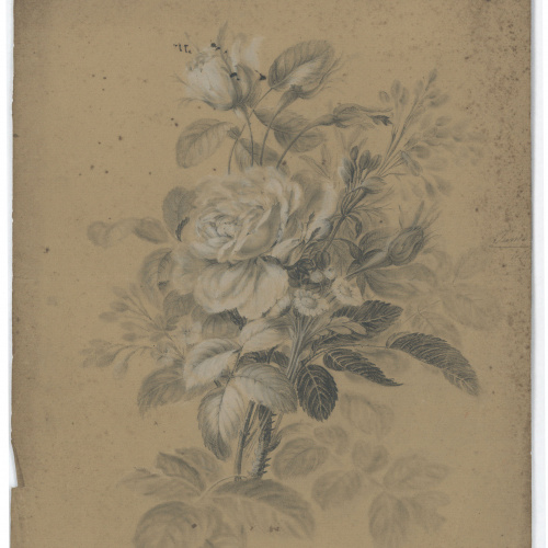 image for: Nicolau Planella - Estudi de flors i fulles - 16 de juny de 1829