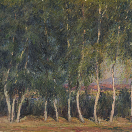 image for: Joan Colom Agustí - Paisatge - 1914
