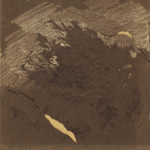 image for: Ramon Martí i Alsina - Matolls - Cap a 1870-1890