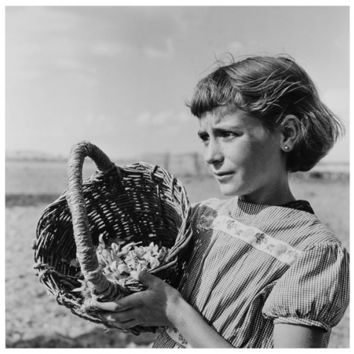 image for: Joana Biarnés - Jove recollidora de la flor del safrà al poble de Consuegra - 1967 (tiratge 2017)
