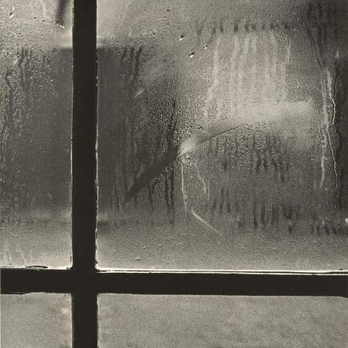 image for: Martí Gasull - Entelament - Cap a 1952