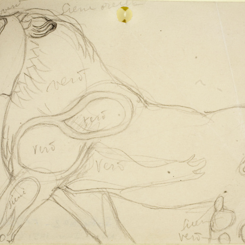 image for: Ismael Smith - Fragment de lleona - 1919