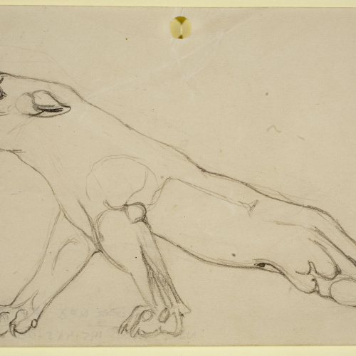 image for: Ismael Smith - Lleona ferida - 1919