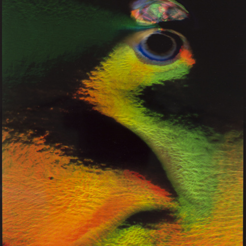 image for: Eugeni Forcano - Composició - 1989