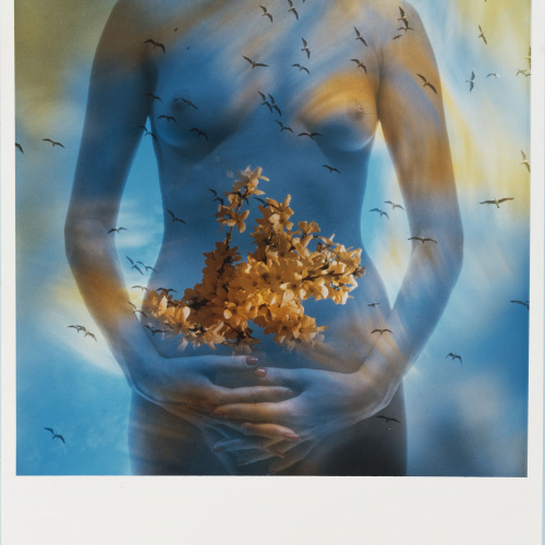 image for: Eugeni Forcano - Afrodita - 1984