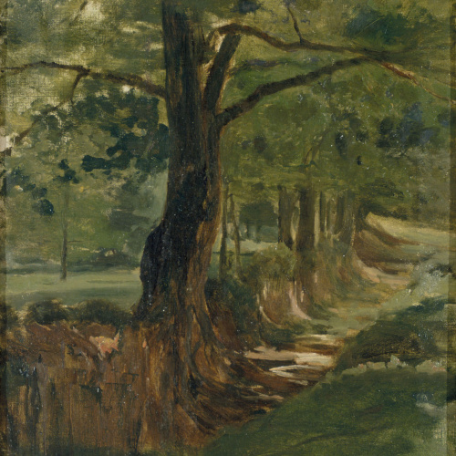 image for: Joaquim Vayreda - El marge - Cap a 1880