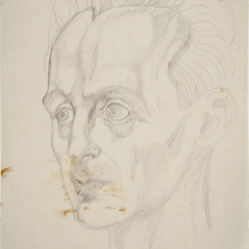 image for: Ismael Smith - Retrat de Paco Smith - Cap a 1921-1925