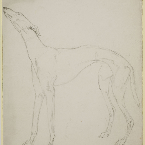 image for: Ismael Smith - Llebrer (anvers) / Calc d&#039;un llebrer (revers) - Cap a 1906-1910