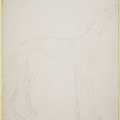 image for: Ismael Smith - Llebrer (anvers) / Calc d&#039;un llebrer (revers) - Cap a 1906-1910 [1]