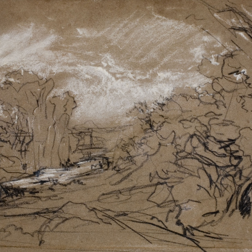 image for: Ramon Martí i Alsina - Arbreda - Cap a 1880