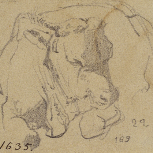 image for: Ramon Martí i Alsina - Un bou ajupit - 22 de maig de 1870