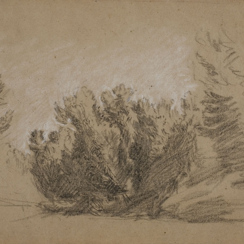 Ramon Martí i Alsina - Estudi d'un matoll - Cap a 1860-1870 image for: Ramon Martí i Alsina - Estudi d'un matoll - Cap a 1860-1870